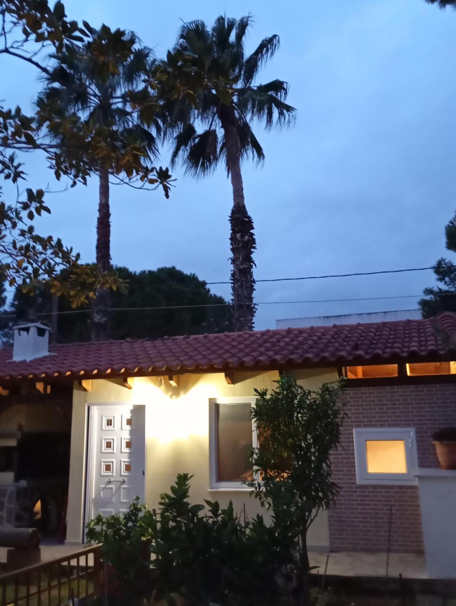 Anna'S Apartment And Studio Artemida  Ngoại thất bức ảnh