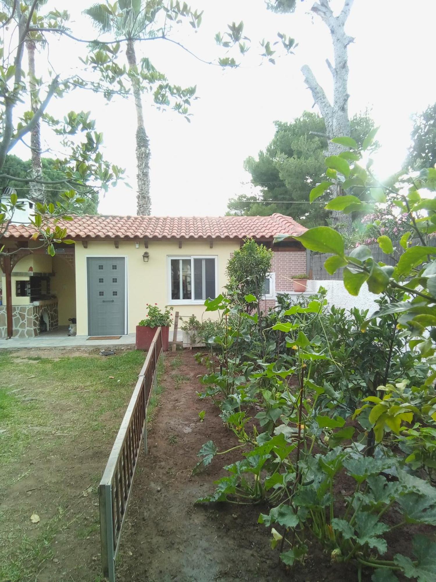 Anna'S Apartment And Studio Artemida  Ngoại thất bức ảnh