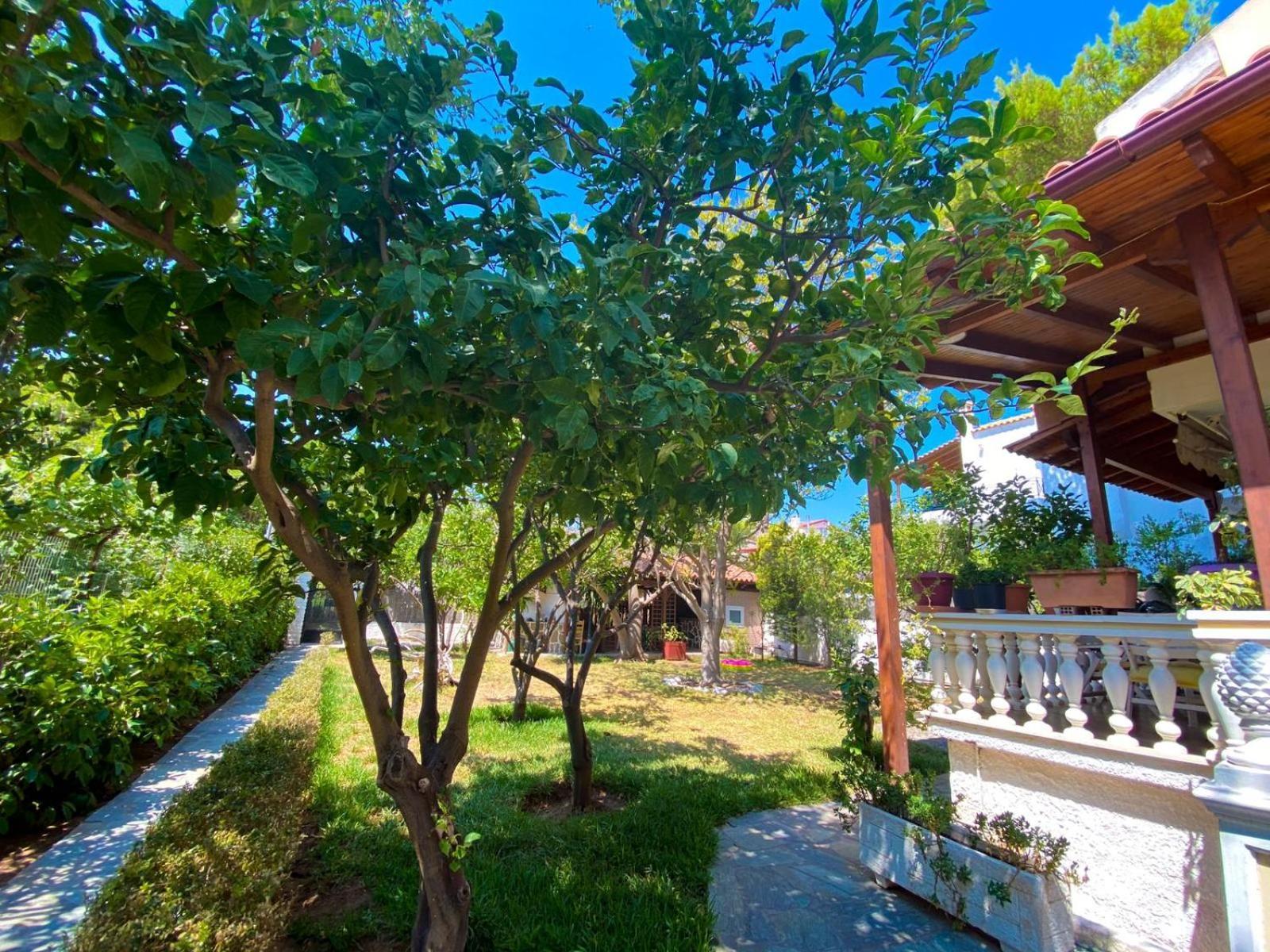 Anna'S Apartment And Studio Artemida  Phòng bức ảnh